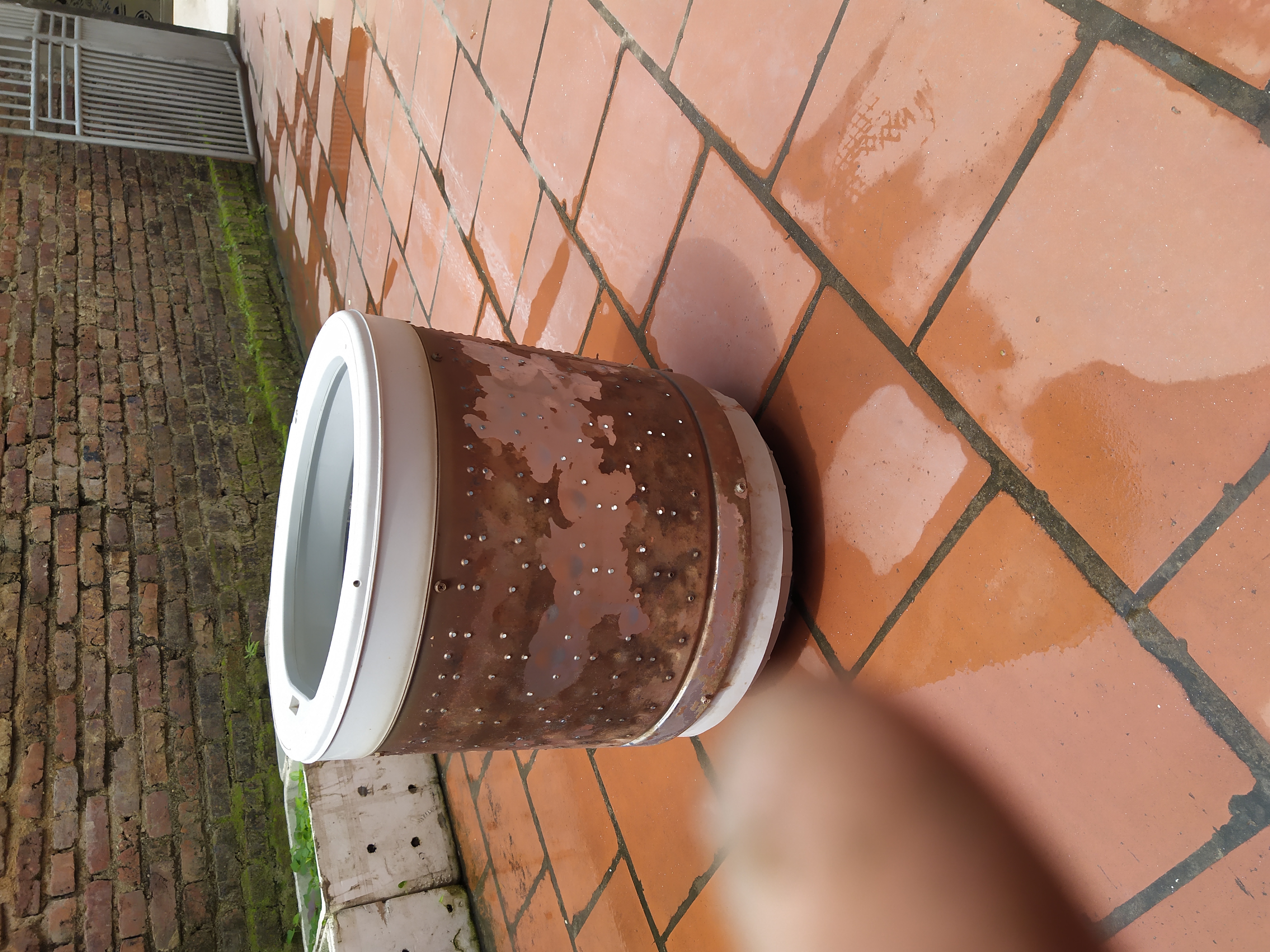 IMG_20200415_104842_1